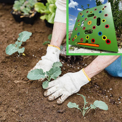 Garden Bed Planting Solution for Bigger, Healthier Yields