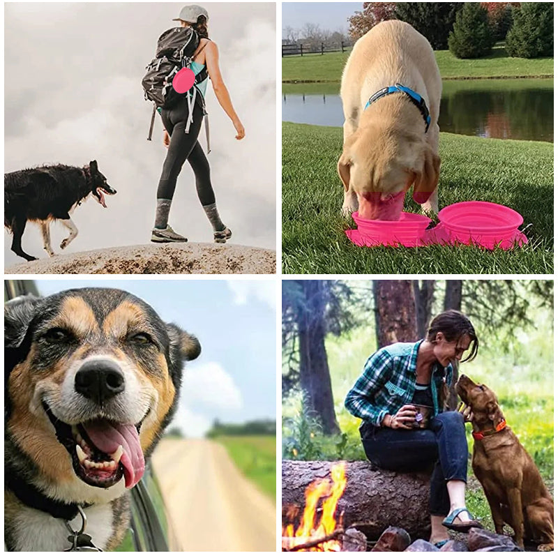 Travel Bowl for Food and Water – Compact Pet Dish