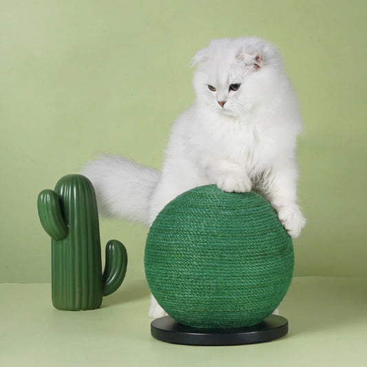 Create a Custom Safe Space for Pets Anywhere