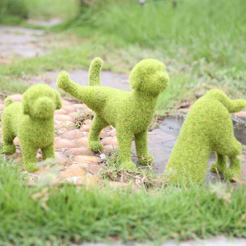 Transform Your Garden into a Lush Oasis Instantly