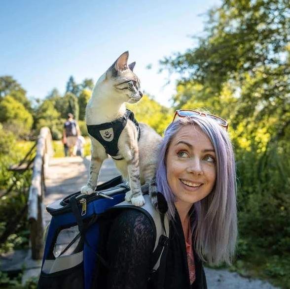 Adjustable, Breathable, Light-Up Cat Harness
