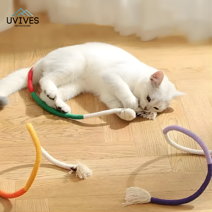 Keep Your Cat Happy and Active while Maintaining Dental Health