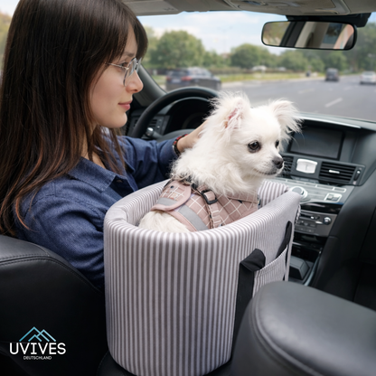 Keep Small Pets Safe and Calm During Every Car Ride