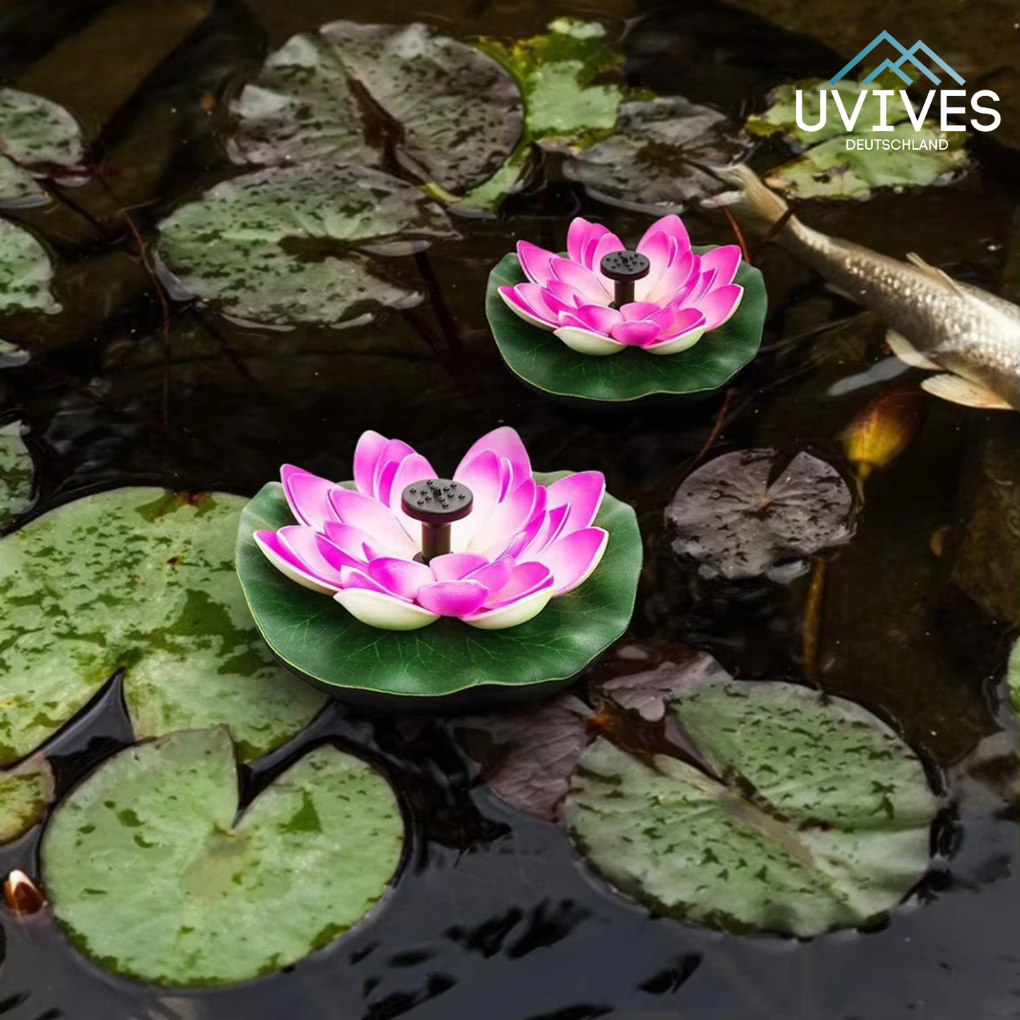 Solar Fountain for Your Garden – Sun-Activated Water Feature