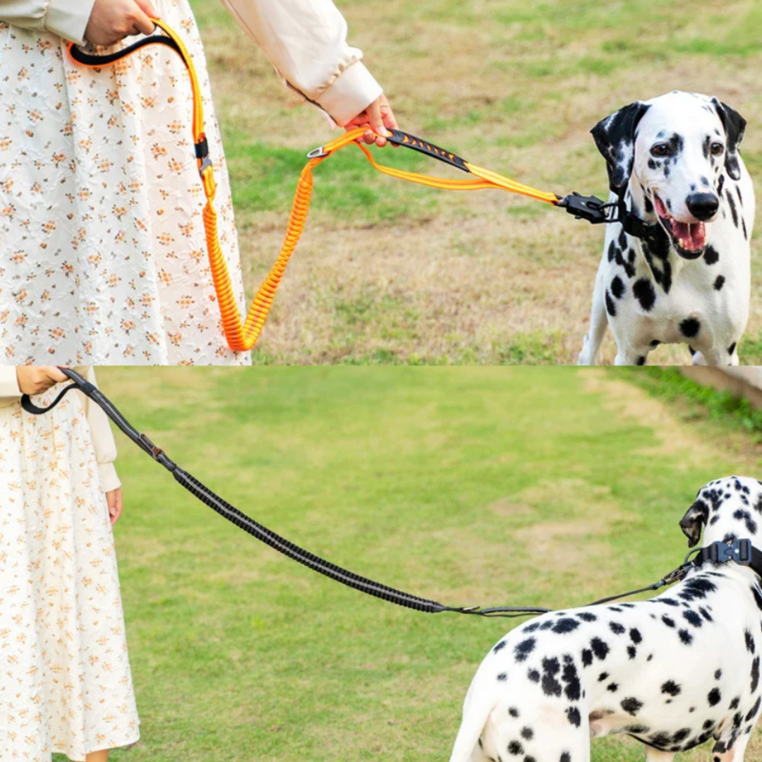 Premium Elastic Dog Leash for Large Breeds