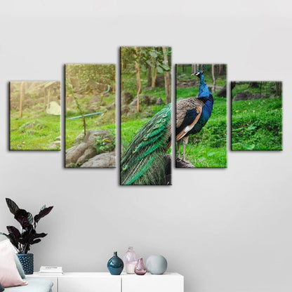 5-Piece Radiant Peacock Canvas Art Set