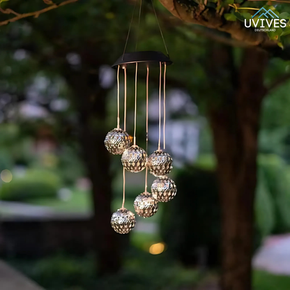 Transform Your Garden with Colorful Light Display