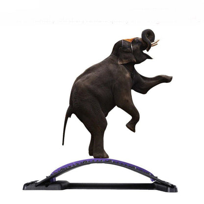 Back Support Cushion for Effective Relief from Pain and Enhanced Comfort