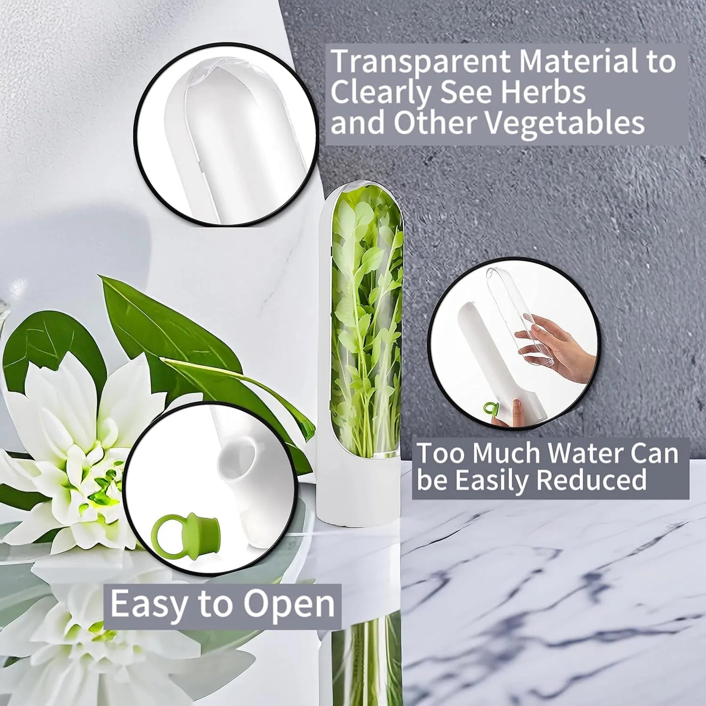 Buy One Get One Free | Fresh Storage Container for Vegetables and Herbs