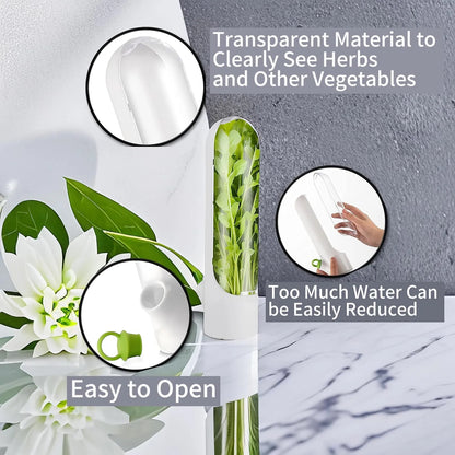 Buy One Get One Free | Fresh Storage Container for Vegetables and Herbs