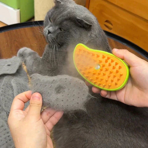 Self-Cleaning Steam Cat Brush with 50% Discount – Last Day Sale