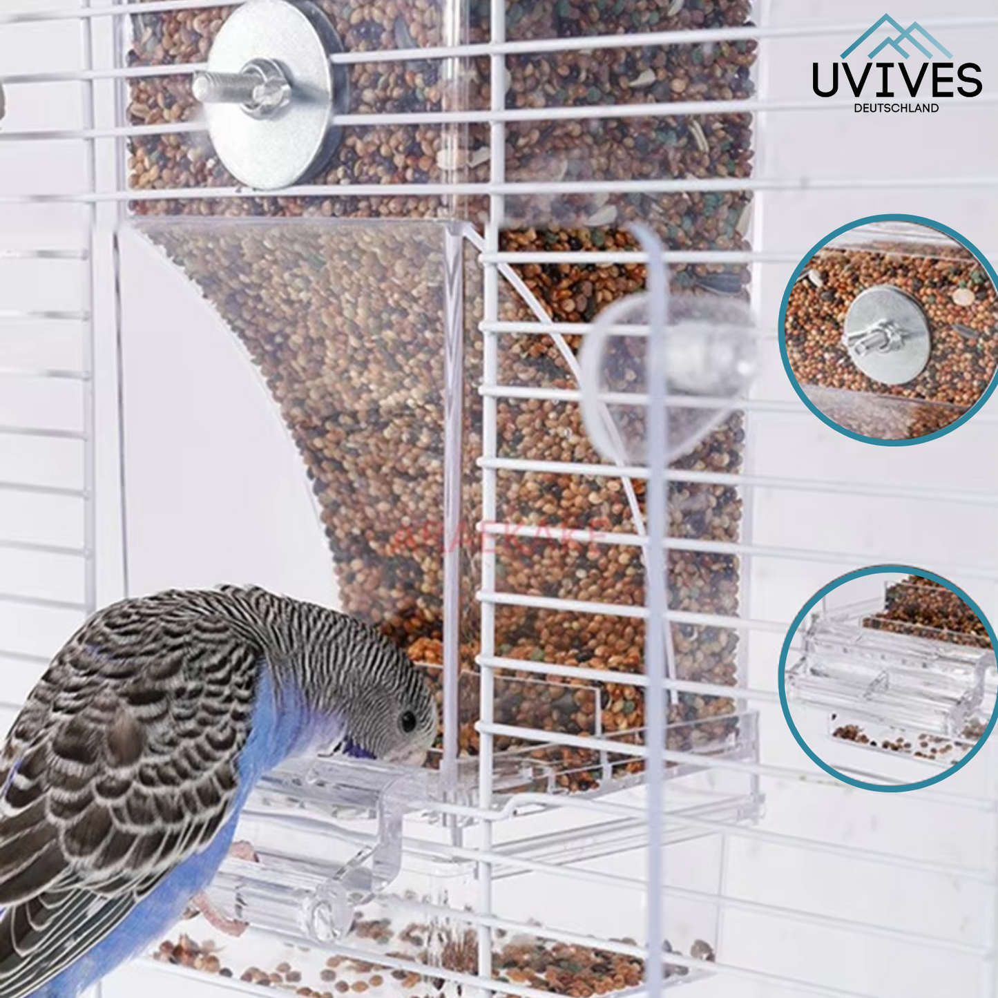 Bird Feeder – Clean Feeding, Happy Birds, Reduced Effort