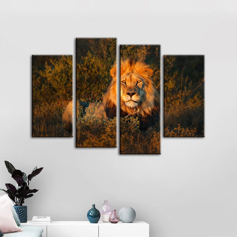 Majestic Sunset Lion - 4-Piece Canvas Artwork