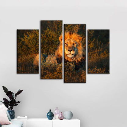 Majestic Sunset Lion - 4-Piece Canvas Artwork