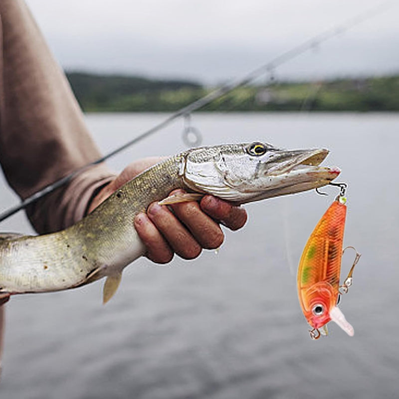 Advent Calendar with 24 Days of Fishing Rod Surprises