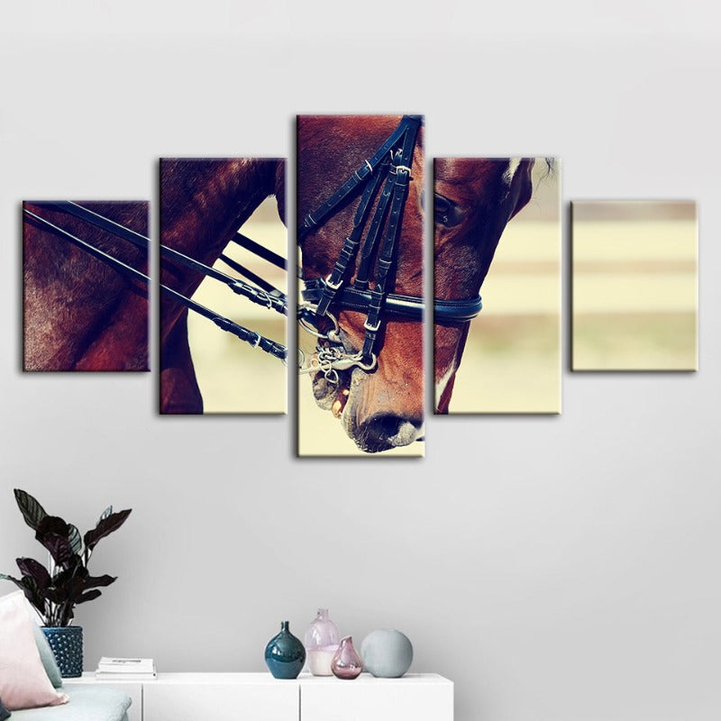 Stunning 5-Piece Canvas Art Featuring a Majestic Horse