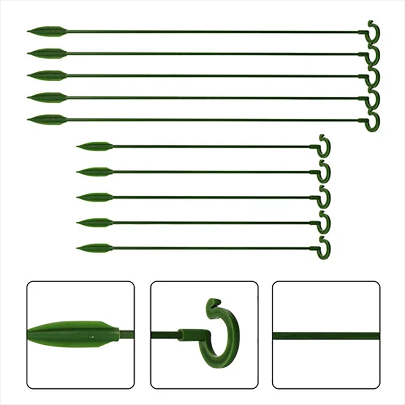 Elegant Stem Support for Thriving Plants