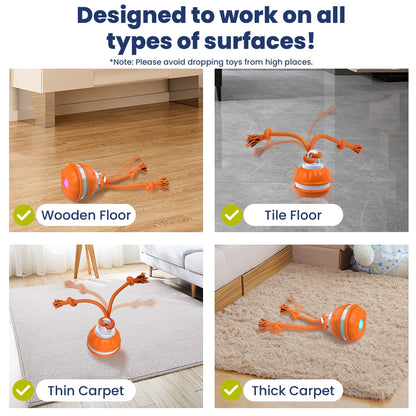 PawiBall – Keep Your Dog Happy and Engaged!