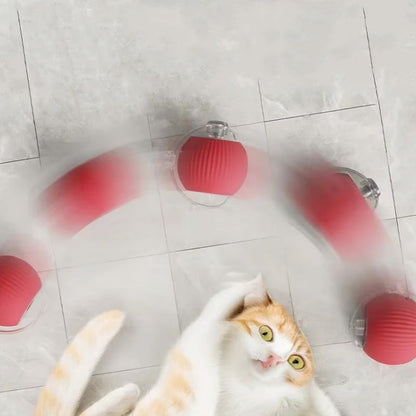 Interactive Ball for Indoor Cats