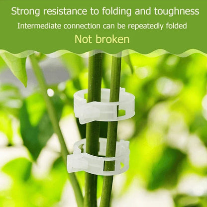 Versatile Plant Support Clips for Healthy Growth – 50/100/150 Pack
