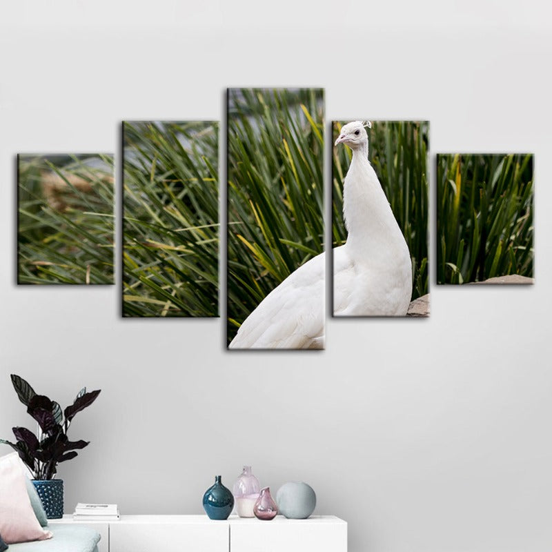 Serene White Peacock 5-Piece Canvas Art Set