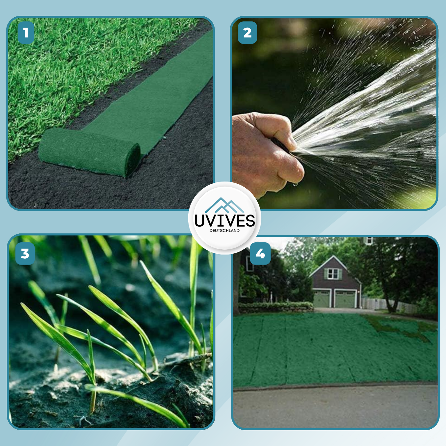 Buy One Get One Free | Easy Care Green Lawn Solution