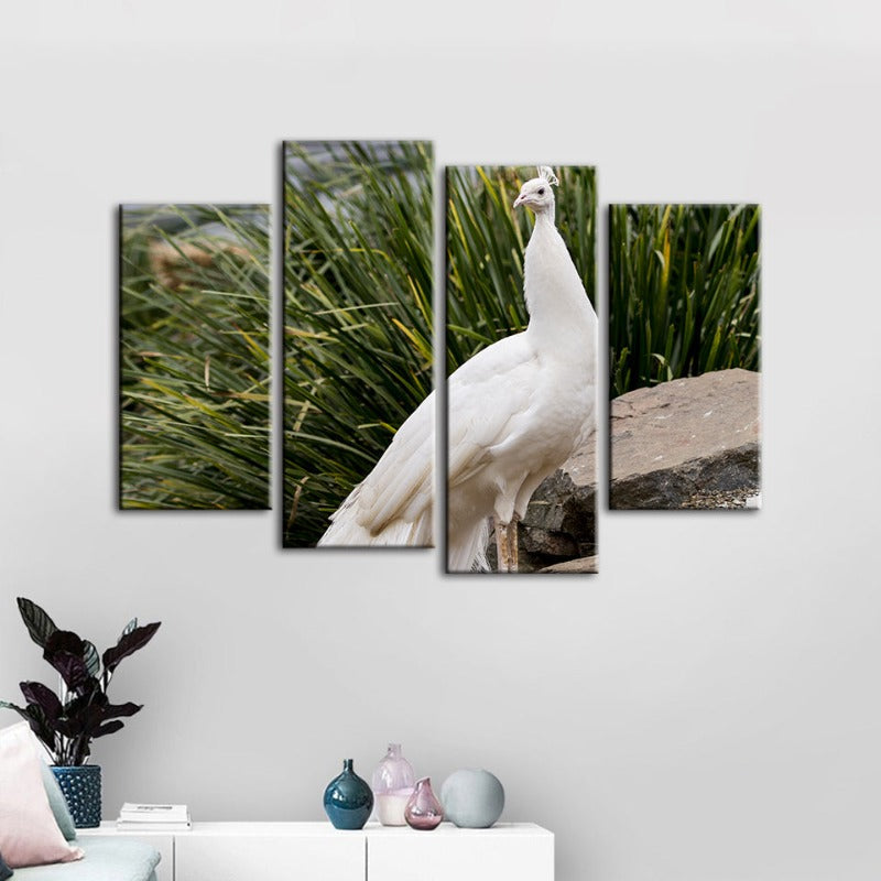 Serene Snowy Peacock - 4 Piece Canvas Art Set