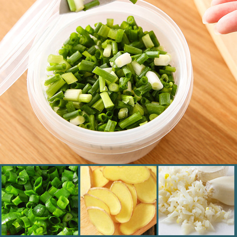 Versatile 4-Compartment Food Storage Container
