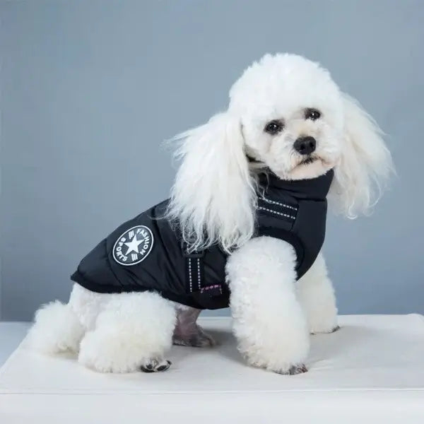 Windproof & Reflective Dog Vest