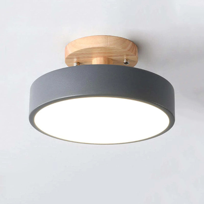 Contemporary LED Ceiling Light Fixture