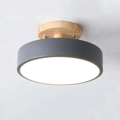 Contemporary LED Ceiling Light Fixture