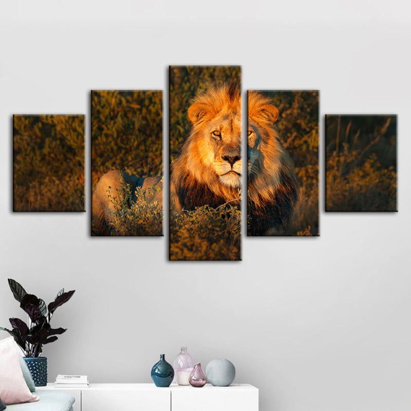 Majestic Lion Canvas Art Set - 5 Pieces for Home Decor