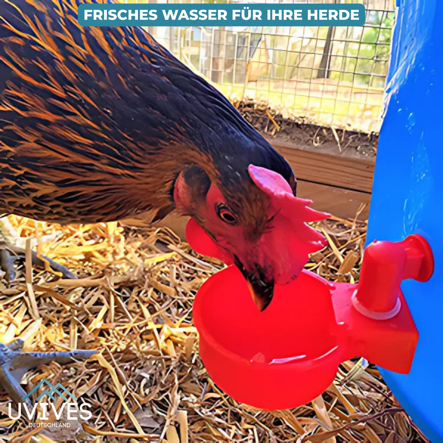 3 for 3 FREE | AquaNest – Clean Water for Happy Pets