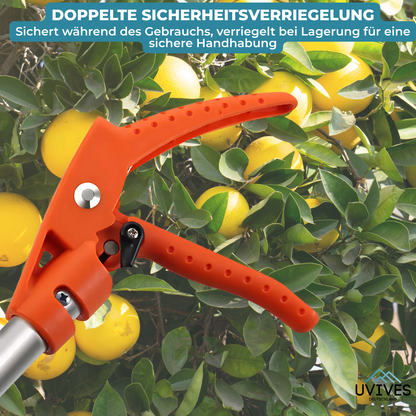 Effortless Cutting Tool for Tall Hedges