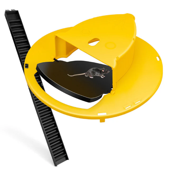 Humane Mouse Trap with Reusable Bucket Design