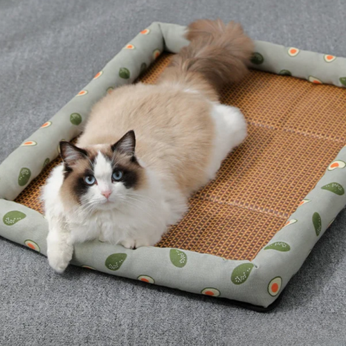 Breathable Summer Pet Bed for Ultimate Comfort
