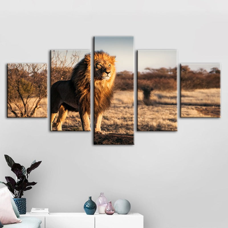 Majestic Lion in Sunlight - 5 Piece Canvas Art Set