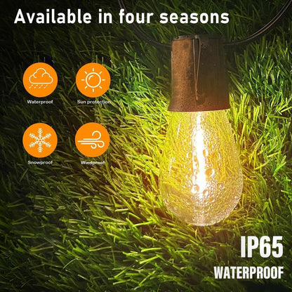 String Lights Powered by Solar Energy