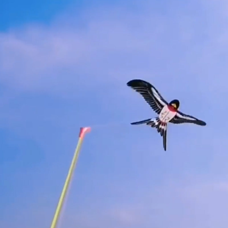 Easily Controllable Kites for Unlimited Outdoor Fun
