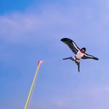 Easily Controllable Kites for Unlimited Outdoor Fun