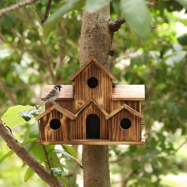 Cozy Weatherproof Home for Small Birds with Safe Reception