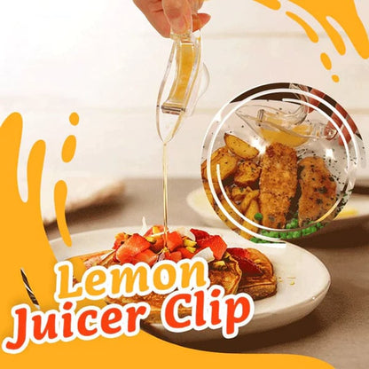Elegant Citrus Juicer for Quick Fresh Juice Extraction