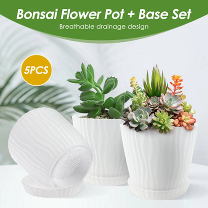 Set of 5 Planters with Drainage Holes and Saucers | Textured PP, 14.5 cm for Indoor and Outdoor Use