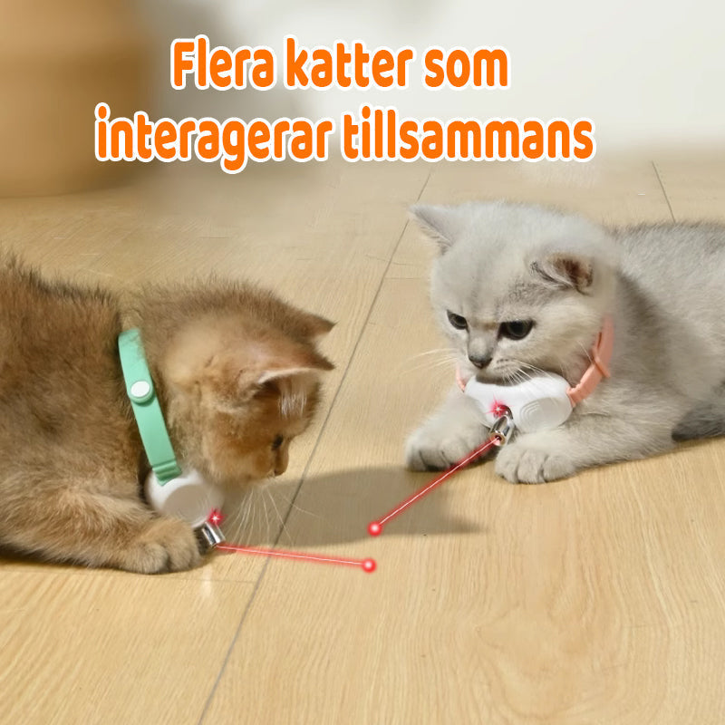 Buy One Get One Free | Keep Your Cat Active and Entertained All Day