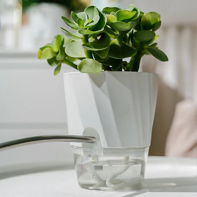 Hydroponic Plant Pot with Double Container and Self-Watering System