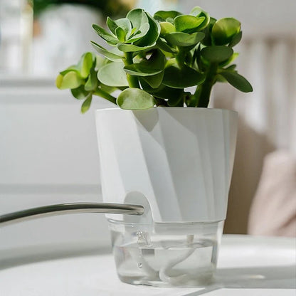 Hydroponic Plant Pot with Double Container and Self-Watering System