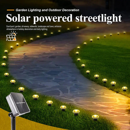 Solar LED Garden Path Lights | 15/30 LEDs | 8 Modes | IP65 Waterproof
