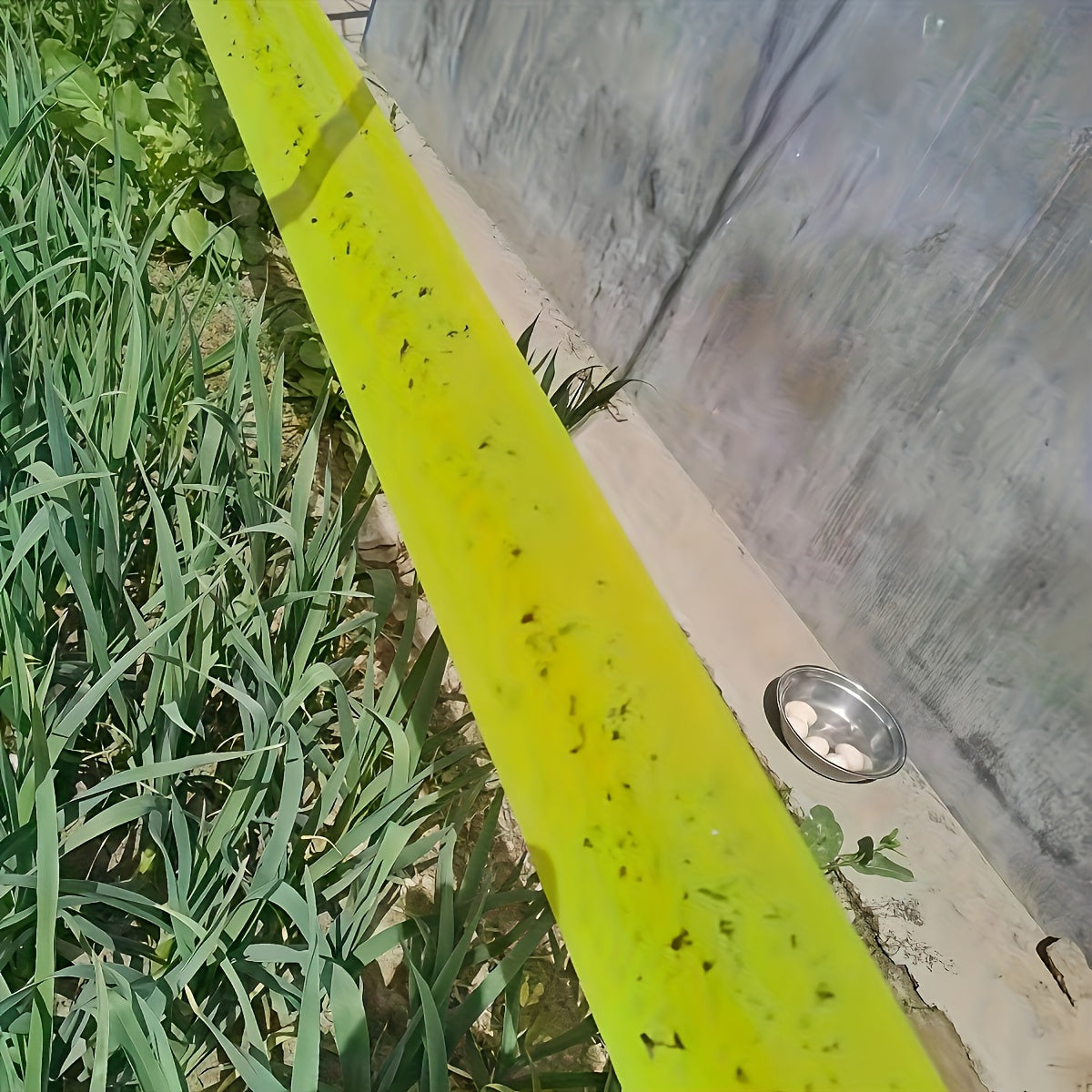 EcoShield – Insect Defense Tape for Outdoor Plants