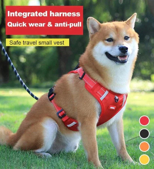 PawEase Soft Dog Harness | Comfort, Safety, and Control