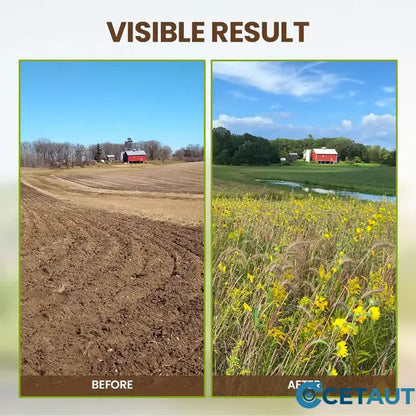 Get 1 Free | Soil Booster for Lush and Strong Plant Growth in Your Garden